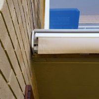 Titan Forte Titan Forte