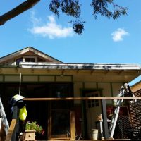 Titan Forte Titan Forte