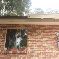 Titan Forte Titan Forte