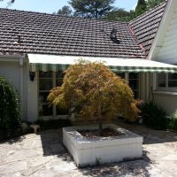 Titan Forte Titan Forte