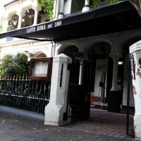 Titan Forte Titan Forte