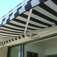 Titan Forte Titan Forte