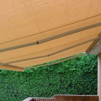 Titan Forte Titan Forte