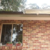 Titan Forte Titan Forte