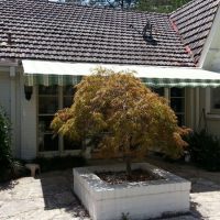 Titan Forte Titan Forte